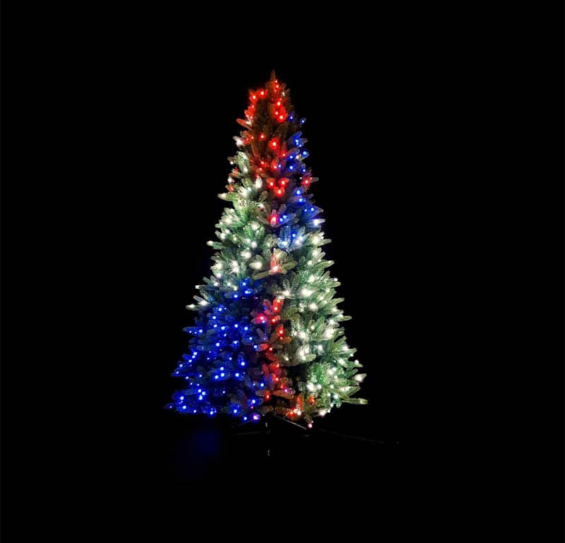 Twinkly-400-LEDs-Pre-Lit-Tree-Special-Edition-TWT400SPP-BUS-Lifestyle-4.jpg